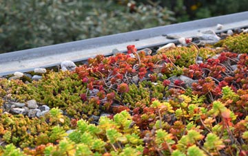 the cost of How End green roof installation