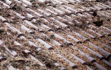 How End roof cleaning companies